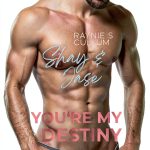German Romance Novel YOU'RE MY DESTINY by Book 5 of 10-0