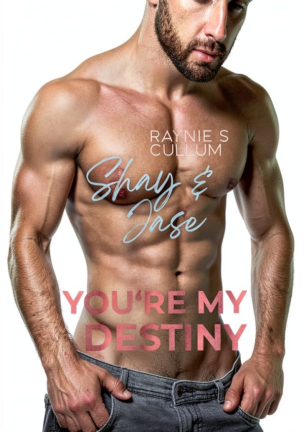 German Romance Novel YOU'RE MY DESTINY by Book 5 of 10-0